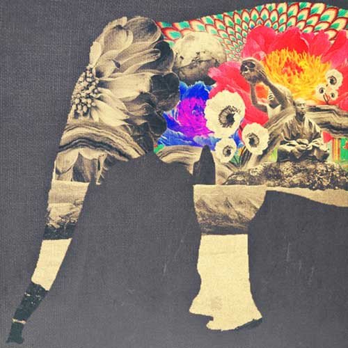 Spiral Shades - Hypnosis Sessions (LP, Gre + LP, Gre + Ltd)