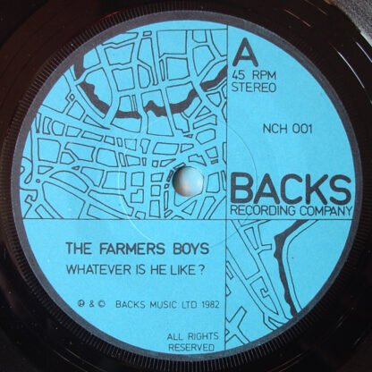 The Farmer's Boys - Whatever Is He Like? (7") - Image 3