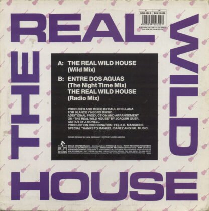 Raul Orellana* - The Real Wild House (12", Single) - Image 2