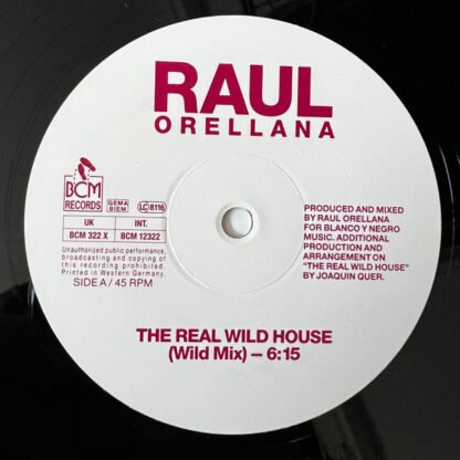 Raul Orellana* - The Real Wild House (12", Single) - Image 3