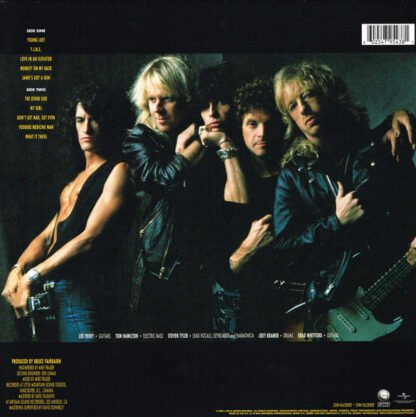 Aerosmith - Pump (LP, Album, RE, 180) - Image 2