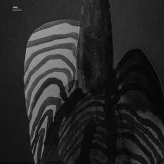 Fire! - Testament (LP, Album)