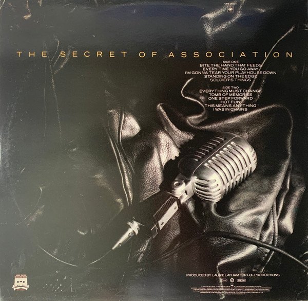 Paul Young - The Secret Of Association (LP, Album) - Image 2