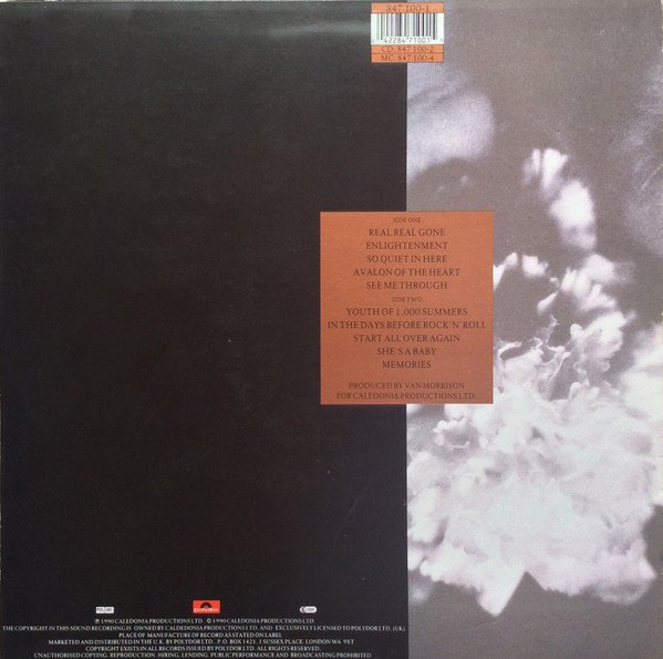 Van Morrison - Enlightenment (LP, Album) - Image 2