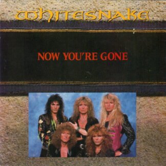 Whitesnake - Now You're Gone (7", Single)
