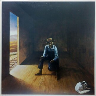 Don McLean - Homeless Brother (LP, Album, All)