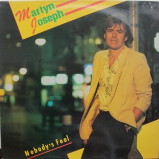 Martyn Joseph - Nobody's Fool (LP, Album)