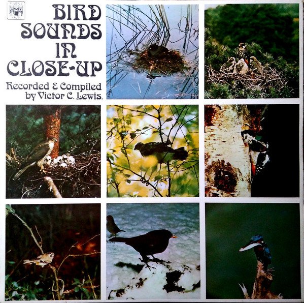 Victor C. Lewis - Bird Sounds In Close Up (LP, Mono)