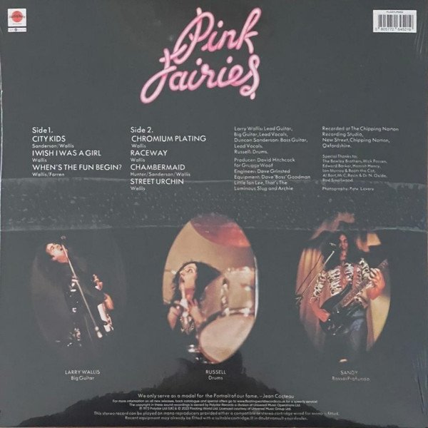 Pink Fairies* - Kings Of Oblivion (LP, Album, RE, Pin) - Image 2