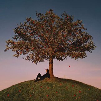 slowthai - TYRON (LP, Album)