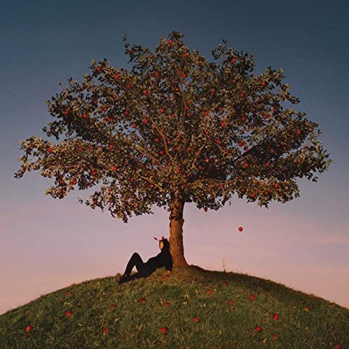 slowthai - TYRON (LP, Album)