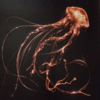 Royal Blood (6) - Back To The Water Below (LP, Album, Ltd, Cle)