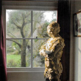 The Pineapple Thief - Someone Here Is Missing (LP, Album, Ltd, Num, 180)