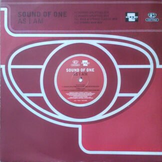 Sound Of One - As I Am (12", Single)