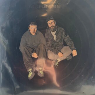 Sleaford Mods - The Demise Of Planet X (LP, Ltd, Neo)