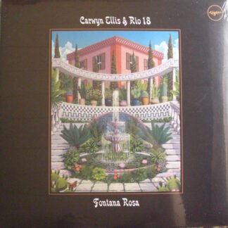 Carwyn Ellis & Rio 18 - Fontana Rosa (LP, Album)