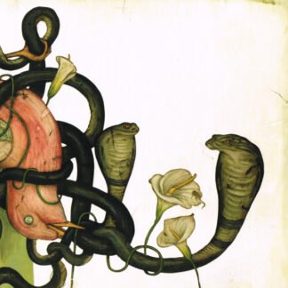 Rival Sons - Head Down (2xLP, Album, Ltd, Cle)