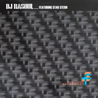 DJ Rasoul Featuring Star Stern - Reality (Remix) (12")
