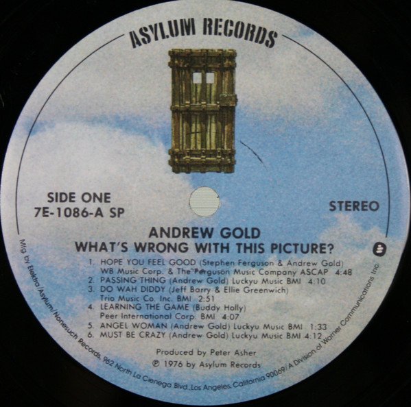 Andrew Gold - What's Wrong With This Picture? (LP, Album, SP ) - Image 3