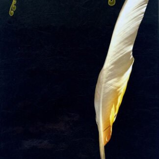 Stevie Nicks - Enchanted (3xCD, Comp, Dig)