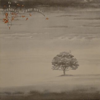 Genesis - Wind & Wuthering (LP, Album, RE)