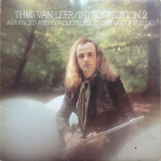Thijs van Leer - Introspection 2 (LP, Album)