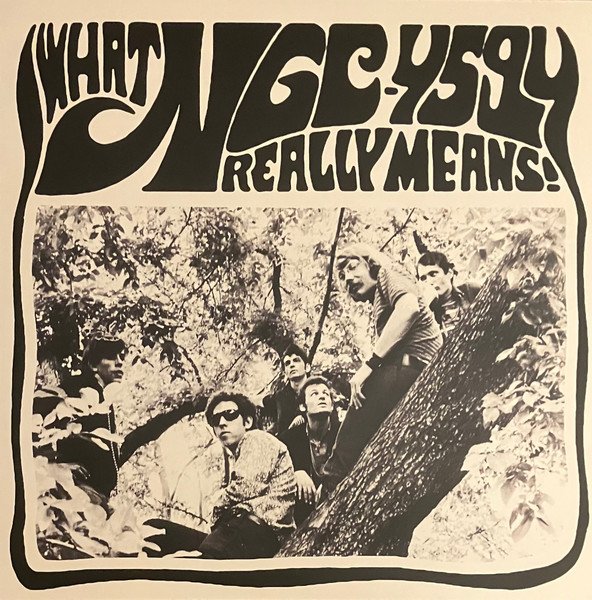 NGC-4594 - What NGC-4594 Really Means! (LP, Comp, Mono + 7", Single, Mono)