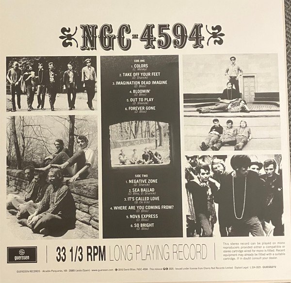 NGC-4594 - What NGC-4594 Really Means! (LP, Comp, Mono + 7", Single, Mono) - Image 2