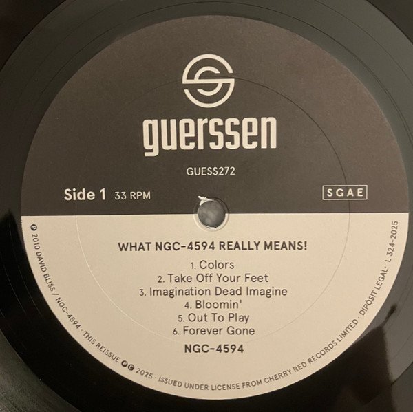 NGC-4594 - What NGC-4594 Really Means! (LP, Comp, Mono + 7", Single, Mono) - Image 3