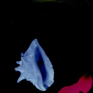 New Order - Touched By The Hand Of God (7", Single)