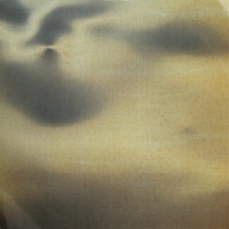 New Order - State Of The Nation / Shame Of The Nation (7", Single)