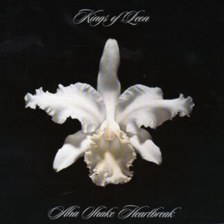 Kings Of Leon - Aha Shake Heartbreak (CD, Album)