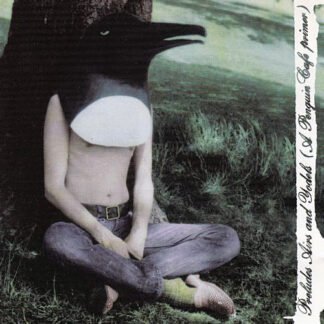 Penguin Cafe Orchestra - Preludes, Airs & Yodels (A Penguin Cafe Primer) (CD, Comp)