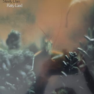 Steely Dan - Katy Lied (LP, Album, RE, RM)