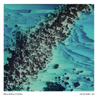 Brainwaltzera - Aescoba EP (12", EP)