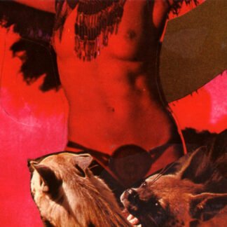 The Warlocks - Heavy Deavy Skull Lover (CD, Album, Dig)