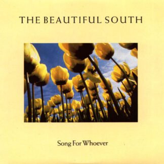 The Beautiful South - Song For Whoever (12", Single)