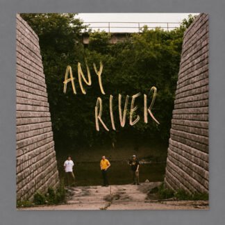 Styrofoam Winos - Any River  (LP, Album)
