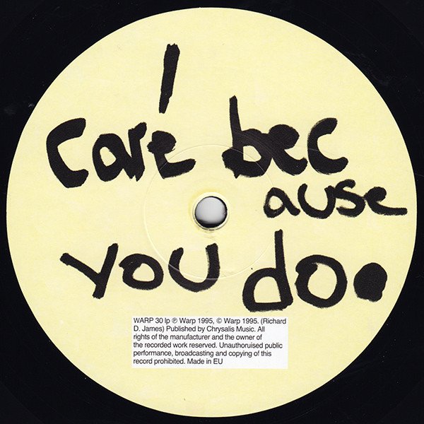 Aphex Twin - ...I Care Because You Do (2xLP, Album, RE, 180) - Image 3