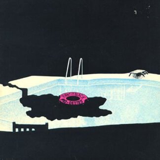 Mo-Dettes - Paint It Black (7", Single)