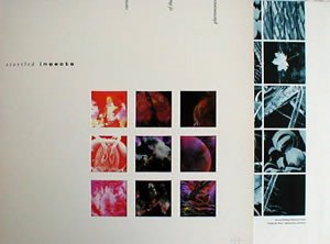 Startled Insects - Curse Of The Pheromones (LP, Album)