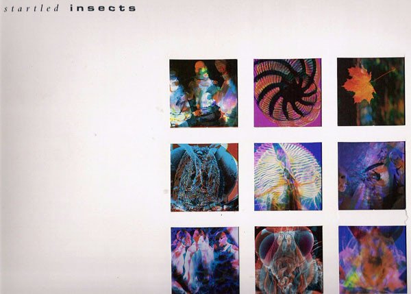 Startled Insects - Curse Of The Pheromones (LP, Album) - Image 2