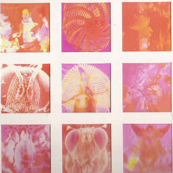 Startled Insects - Curse Of The Pheromones (LP, Album) - Image 3