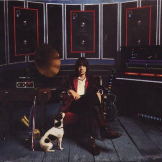 Julian Casablancas - Phrazes For The Young (CD, Album)