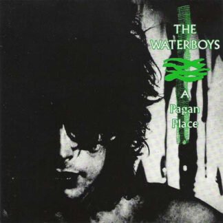The Waterboys - A Pagan Place (LP, Album, EMI)