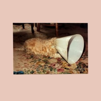 Langkamer - No (LP, Ltd, Whi)