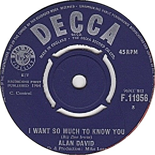 Alan David - I Want So Much To Know You (7", Single)