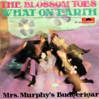 The Blossom Toes* - What On Earth (7", Single, Mono)