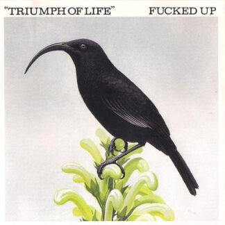 Fucked Up - Triumph Of Life (7", EP, Pin)