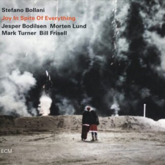 Stefano Bollani - Joy In Spite Of Everything (CD, Album)